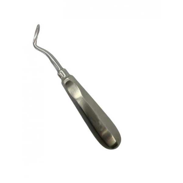  Small Animal Dental Instruments